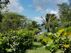 Studio Coco Zen, Sainte-Anne